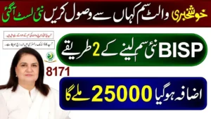 8171 CNIC Check for 25000 Wallet SIM – BISP Digital Wallet & Ehsaas 13500 Payment Update 2025