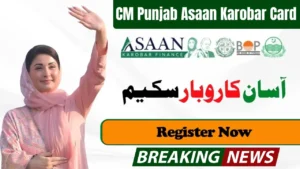 CM Punjab Asaan Karobar Card