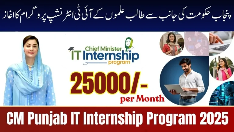 CM Punjab IT Internship Program 2025 – Apply Online for Paid IT Training in Punjab